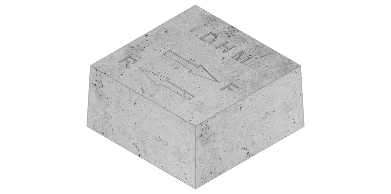 CG2F — DHM render