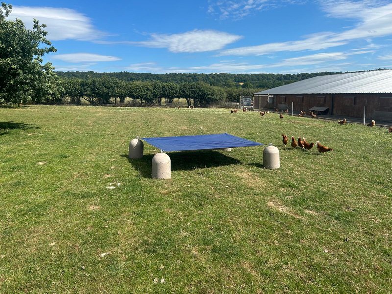 Poultry shelter on precast concrete supports standing in a grass range with hens