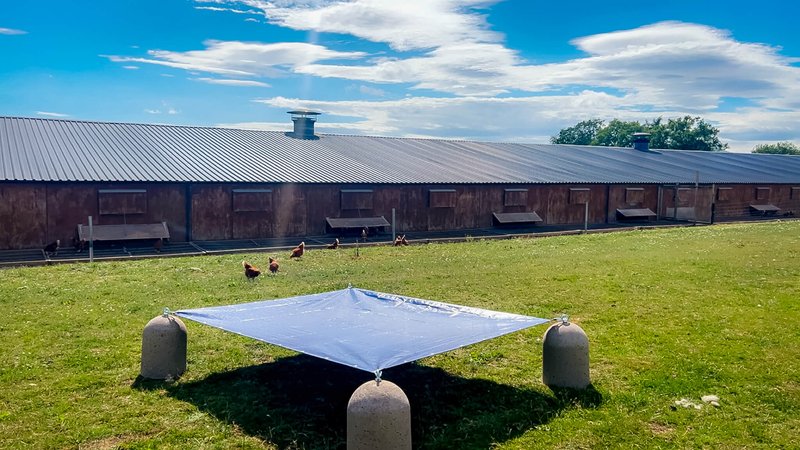 Free range poultry shelter canopy supported on concrete blocks in a grass field