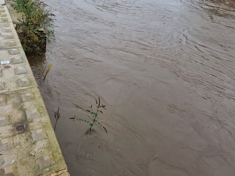 Swollen brown river running high against a concrete flood defence wall