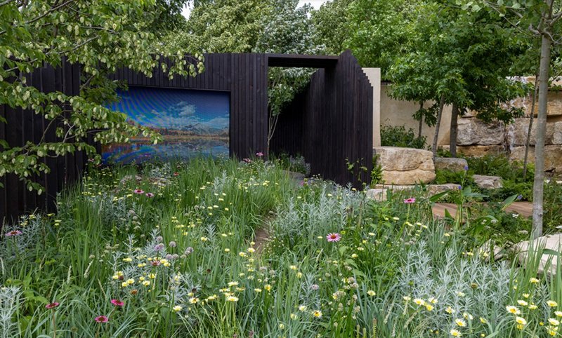 Show garden with a dark walled structure surrounded by wildflower planting