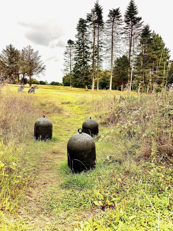 Concrete bollards set in rough grass at the edge of a golf course