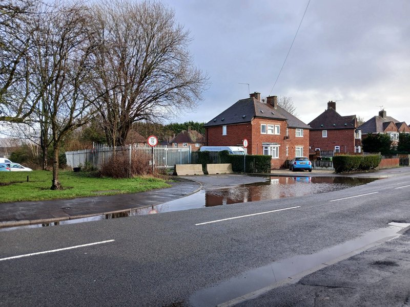 Temporary vertical concrete barriers lining a grass verge on a residential street